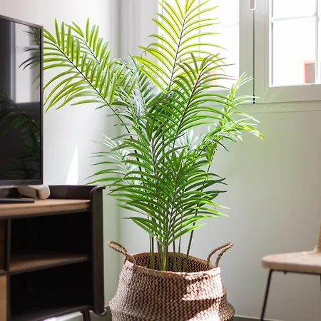 City, Sun And Living Las Palmas de Gran Canaria