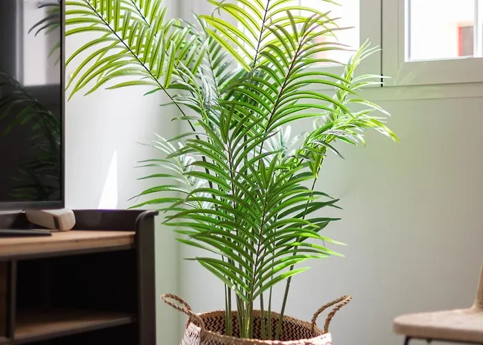 City, Sun And Living Las Palmas de Gran Canaria